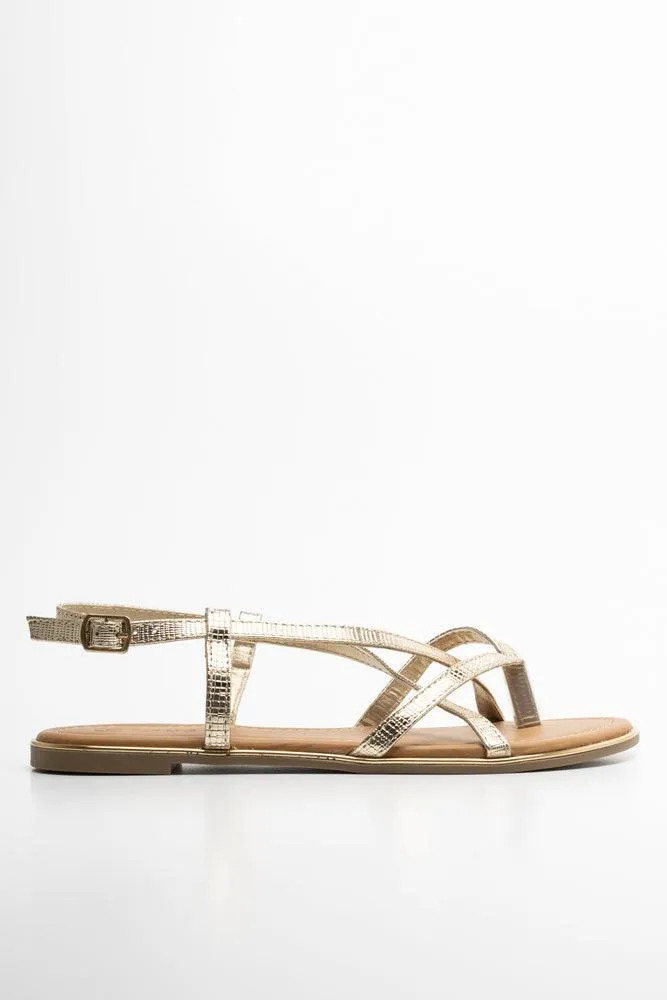 Toe Post Strappy Sandal Gold